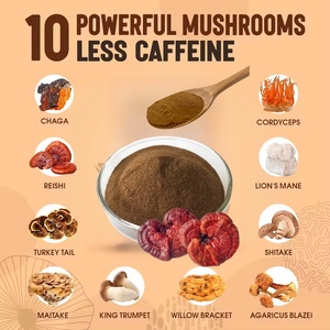 Sıcak satış gıda sınıfı Ganoderma özü tozu mantar tozu organik bitkisel aslanlar yele anında Ganoderma tozu - Product Image 3