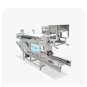 Hoge Kwaliteit Ronde Rijst Noodle Making Machine/Automatische Rijst Noodle Machine/Platte Rijst Noodle Machine