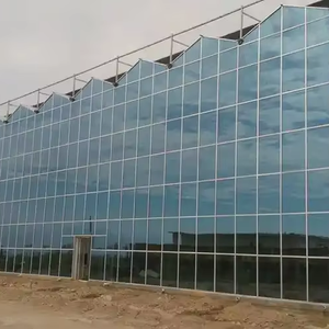 Chi phí thấp đa span nhà kính thiết bị nông nghiệp autom 40x100 phim nhà kính cấu trúc để bán - Product Image 4