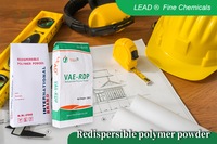 Poudre Polymère Redispersable (RDP) à Haute Adhérence et Flexibilité pour Cols de Raccord et Adhésifs, Mortiers Secs Préconçus