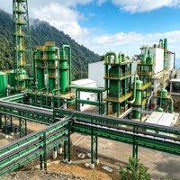 Zhongxin Golderz-Bergbauausrüstung 50-200t/d Gold-CIP-Laugungsanlage zum Verkauf