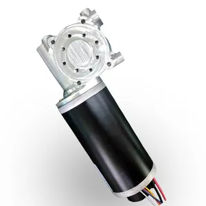 Dc Motor 100 Watts 24 Volt Dc Worm Geared Motor Electric Motors for Automatic Doors