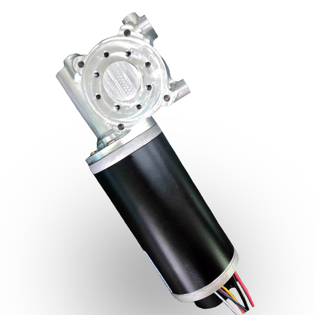 Dc Motor 80 Watts 24 Volt Dc Worm Geared Motor Electric Motors for Automatic Doors