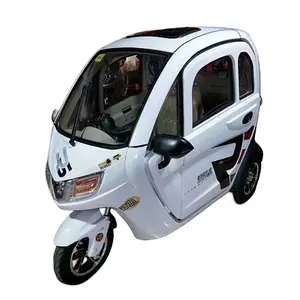 Vente chaude scooter de mobilité adulte entièrement fermé 1000W 60V CE voiture à trois roues avec batterie en option