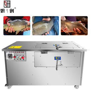 Machine de traitement du poisson à haute efficacité, machine automatique d'écaillage du poisson, écaleur de poisson, nettoyeur d'écailler de poisson - Product Image 1
