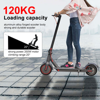 Trottinette électrique pour adultes, moteur puissant 350W, prête à être expédiée depuis l'entrepôt allemand