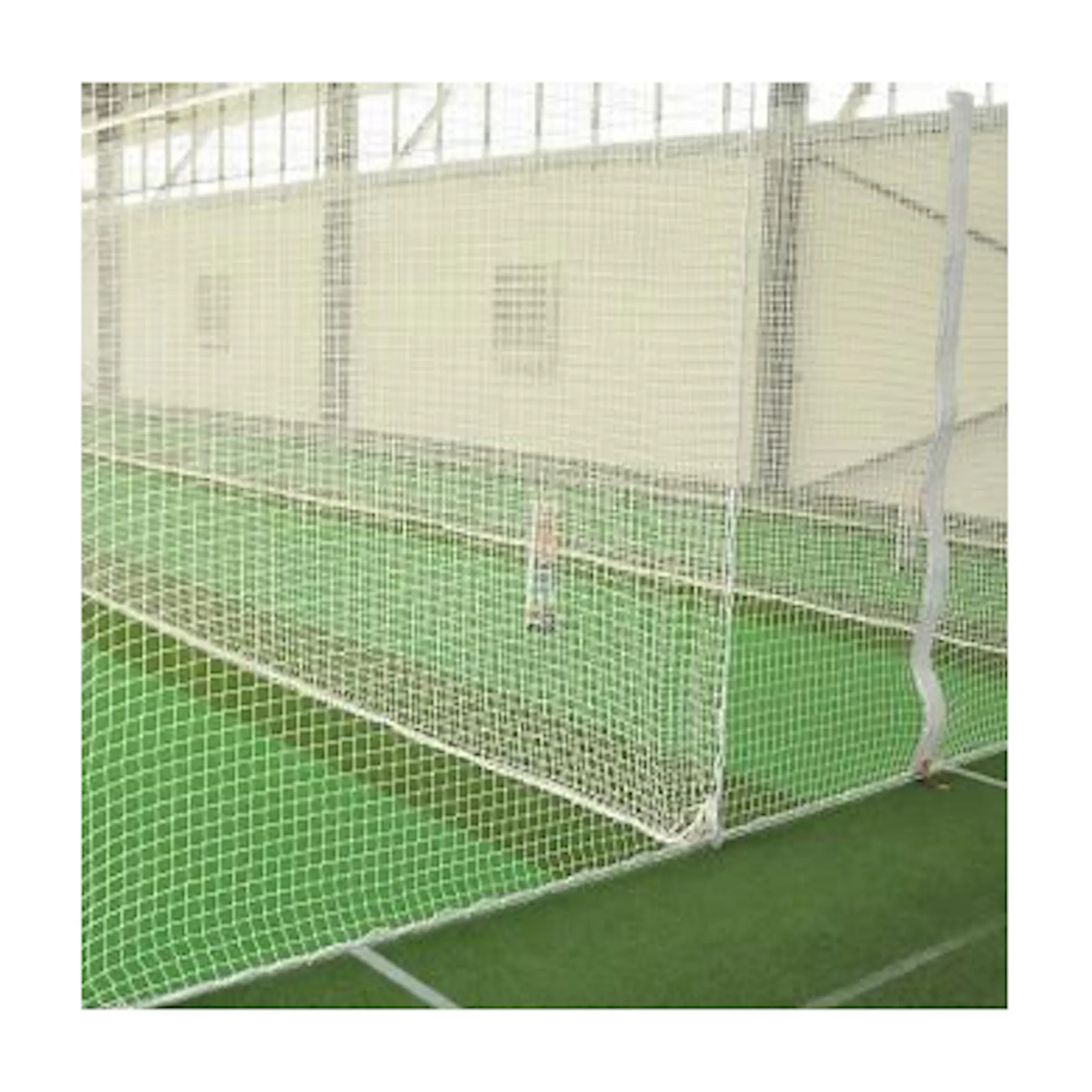 Binzhou combinación cuerda para columpio al aire libre Red patio pelotas de tenis de mesa recoger neto y la bola