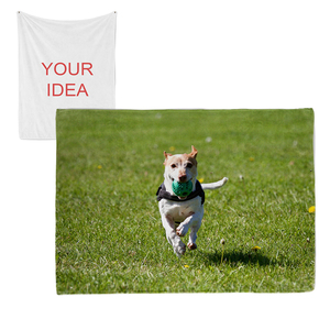 100% poliéster impresión personalizada foto sublimación blanca transferencia Digital visón en blanco minky Super suave Sherpa Manta polar - Product Image 1