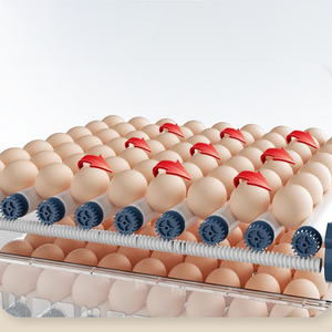 220V/220V + 12V tự động gà trứng lồng ấp cao tỷ lệ nở 64 trứng 360 độ con lăn khay vịt ngỗng chim cút chim bồ câu mới PP - Product Image 6