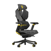Chaise de jeu ergonomique réglable haut de gamme JNS W205 pour le bureau et les joueurs