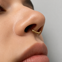 Vente en gros Anneau de diaphragme nasal articulé en titane ASTM F136 16G, Anneau osseux, Boucles d'oreilles, Bijoux de corps perforés tendance