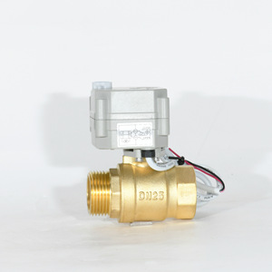 Vanne à boisseau sphérique électrique en laiton DN25 1 pouce pour milieux aqueux et oxygénés avec ports filetés internes et externes - Product Image 1