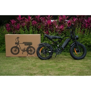 Bicicleta Eléctrica de Alta Calidad Ecoride 500w para Adultos, Bicicleta Eléctrica de Largo Alcance 13ah para Adultos, Bicicleta Eléctrica Europea de Fábrica - Product Image 4