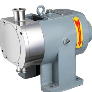 Bomba de Lóbulos Rotatorios de Grado Alimenticio, Bomba de Lóbulos Sanitaria, Bomba de Rotor de Acero Inoxidable, Eléctrica - Product Image 6