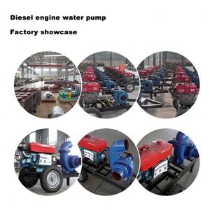 Pompe à eau horizontale à moteur diesel à grand débit, 12 pouces, 26 pouces, à flux mixte, pour l'irrigation et l'agriculture - Product Image 5