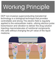 Analizador de piel Superconductor Derma Electroporación Producto no invasivo Introducción Estiramiento DE LA PIEL Máquina de belleza