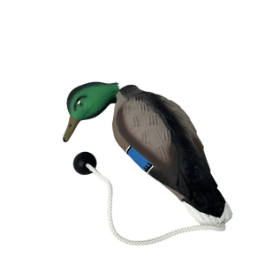 ألعاب للتدريب وتعليم كلاب الصيد ألعاب توسيد البط للكلاب منتجات رياضية وترفيهية - Product Image 5