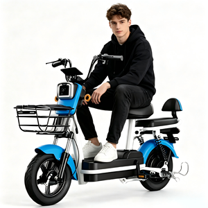Bicicletta Elettrica Urbana a Due Posti 350W 48V, Comoda Bici da Pendolare con Accessori Completi, Display LCD - Product Image 1