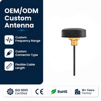 Antenne LoRa 4G LTE 868 MHz 915 MHz pour armoire extérieure, connecteur fileté, étanche IP67, montage à vis omnidirectionnel pour passerelle, personnalisable OEM