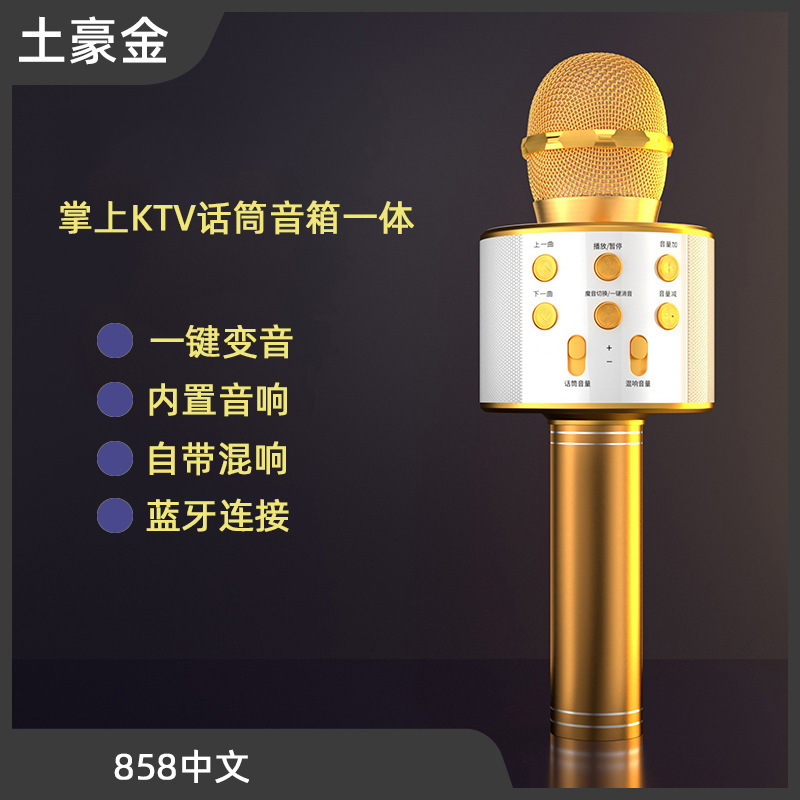 [Gold] 858 Chinese