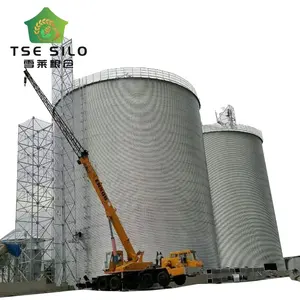 5000 طن من الفولاذ صويا أرز حبوب تخزين الحبوب سلة مسطحة الاسفل - Product Image 1