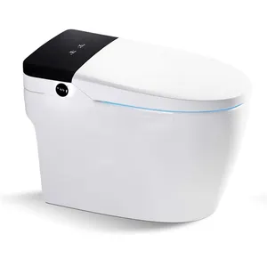 Thiết Kế Mới Chất Lượng Tốt Phòng Tắm Bán Hàng Nóng Thông Minh Cover & Seat Toilet