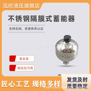 Acumulador de Diafragma Hongxin de 0.075L, Amortiguador Hidráulico de Acero Inoxidable 316 - Product Image 4