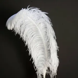 Venda por atacado decorativo de avestruz branco pena para mesas de casamento