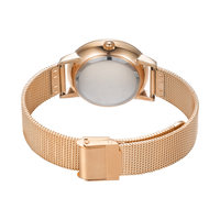 Reloj de Pulsera de Lujo para Mujer, Personalizado, de Acero Inoxidable, con Malla, Esfera de Cuarzo, Cristal, Caja de Aleación, Accesorio de Moda