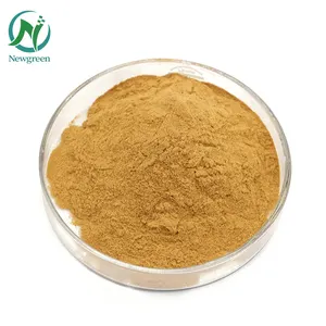 Bán buôn Chất lượng cao lúa mạch Malt chiết xuất malt bột