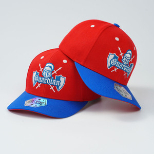 Gorra de Béisbol Tricolor con Logotipo Personalizado, Bordado con Patrón de Dólar, Fabricante BSCI para Marcas Urbanas, MOQ 50, Muestra en 3 Días - Product Image 2