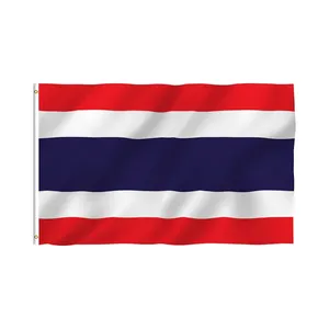 Vietnam Cambodge Laos Timor oriental Brunei Malaisie Singapour Philippines Bannière pays personnalisée Drapeaux en polyester