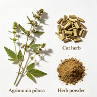 Herbe d'Agrimonia séchée, matière première pour tisanes, herbe astringente, encens, savon, masque, shampoing, production d'extraits botaniques