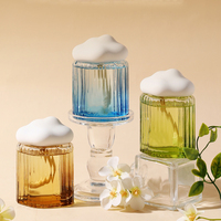 Diffuseur de parfum pour la maison, décoration, pierre aromatique, bouchon de bouteille en forme de nuage, bouteille en verre de 160 ml, aromathérapie, désodorisant pour voiture
