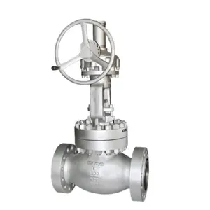 Source Factory Wholesale PN150/300/1500 SDNR Flange Cast/Stainless/Carbon Steel Globe Valve
