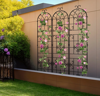 Metall-Kletterpflanzen-Rankgitter Rostfrei für Draußen mit Gewölbter Oberseite Dekorative Stütze für Blumen Rosen Clematis Obelisk 50x180cm
