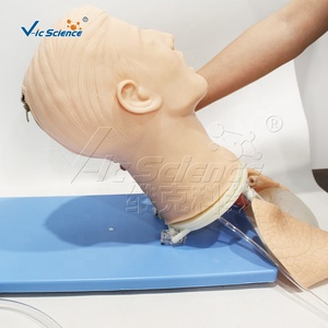 Modelo de Obstrucción de Vías Respiratorias Multifuncional Avanzado, Tamaño Real de Adulto, para Enfermería y Medicina - Product Image 2