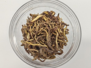 อาหารปลาแบบแห้ง ผลิตจากไส้เดือนดิน แช่แข็งและอบแห้ง ให้สารอาหารและโปรตีนสูง - Product Image 3