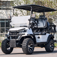 Voiturette de golf de plage, voiturette de golf de type limousine et voiturette de golf monoplace pour jardin de villa