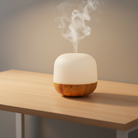 Humidificateur à brume froide, vaporisateur ultrasonique, diffuseur d'arômes pour la maison, le bureau, le yoga