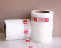 Sac à Thé Vide en Nylon OEM DIY, Maille de Soie Fantaisie, Meilleur, avec Étiquette, en Rouleau