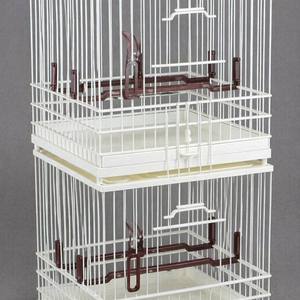 Gabbia per Uccelli in FRP e Plastica, con Coperchio Solido e Cassetto - Design Originale per l'Addestramento degli Uccelli Silver-eye - Product Image 5