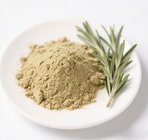 Bester Preis Lebensmittel qualität Reines 10% 50% Carnosin säure Rosmarin blattex trakt pulver - Product Image 1