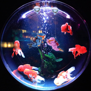 Drijvende Aquariumduikdecoratie Voor Kleine Visornamenten Voor Aquariumdecoratie - Product Image 5