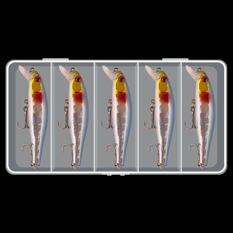 Blue back and silver body