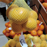 Machine d'emballage automatique électrique haute efficacité pour le remplissage de sacs en filet de fruits, légumes, agrumes, tomates, pommes de terre, oignons (en cartons/sachets)