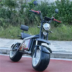 12英寸Scrooser Seev Citycoco踏板车电机800W成人电动新款越野摩托车站立踏板车待售