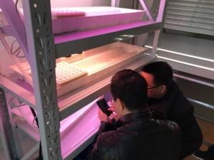 OHSP350SF 350-950nm Portable Spectromètre Nir Pleine FunctionSpectrum Analyseur - Product Image 6