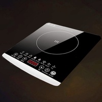 Plaque de cuisson à induction électrique multifonctionnelle à brûleur unique 220V, commande tactile, design étanche pour usage commercial, fonction hotpot