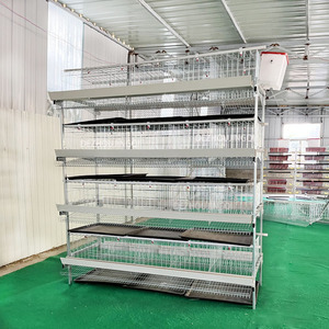 5000 Chim Gà Gia Cầm Trang Trại H Loại Pin Trứng Đẻ Gà Lớp Tự Động Lồng Gà Trong Zimbabwe Cho Bán - Product Image 4